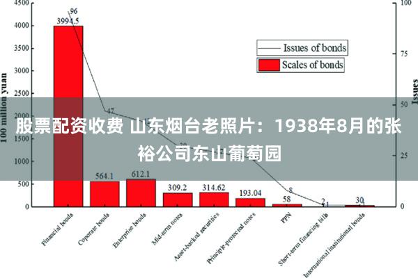 股票配资收费 山东烟台老照片：1938年8月的张裕公司东山葡萄园