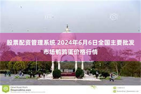 股票配资管理系统 2024年6月6日全国主要批发市场鹌鹑蛋价格行情