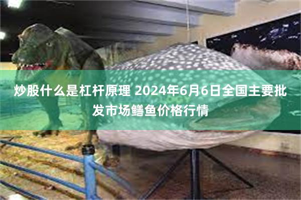 炒股什么是杠杆原理 2024年6月6日全国主要批发市场鳝鱼价格行情