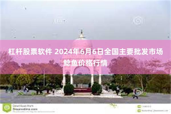 杠杆股票软件 2024年6月6日全国主要批发市场鲶鱼价格行情