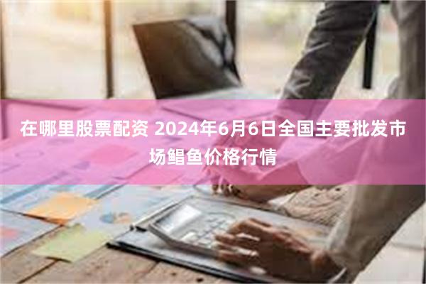 在哪里股票配资 2024年6月6日全国主要批发市场鲳鱼价格行情