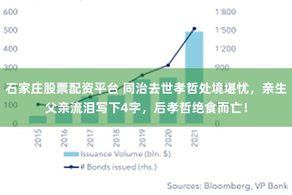 石家庄股票配资平台 同治去世孝哲处境堪忧，亲生父亲流泪写下4字，后孝哲绝食而亡！