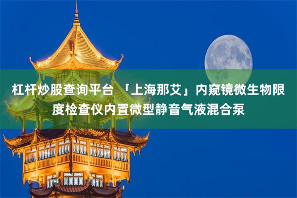 杠杆炒股查询平台 「上海那艾」内窥镜微生物限度检查仪内置微型静音气液混合泵