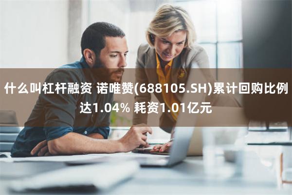 什么叫杠杆融资 诺唯赞(688105.SH)累计回购比例达1.04% 耗资1.01亿元