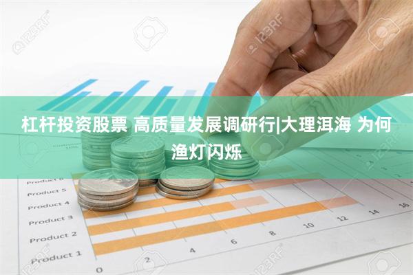 杠杆投资股票 高质量发展调研行|大理洱海 为何渔灯闪烁