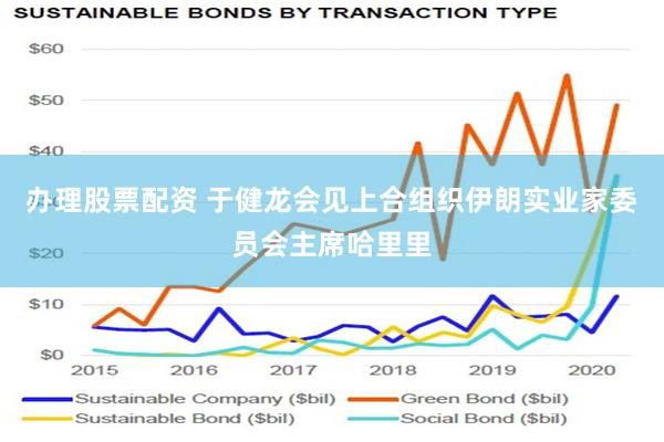 办理股票配资 于健龙会见上合组织伊朗实业家委员会主席哈里里