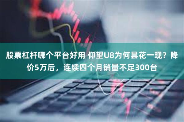 股票杠杆哪个平台好用 仰望U8为何昙花一现？降价5万后，连续四个月销量不足300台