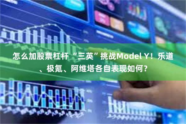 怎么加股票杠杆 “三英”挑战Model Y！乐道、极氪、阿维塔各自表现如何？