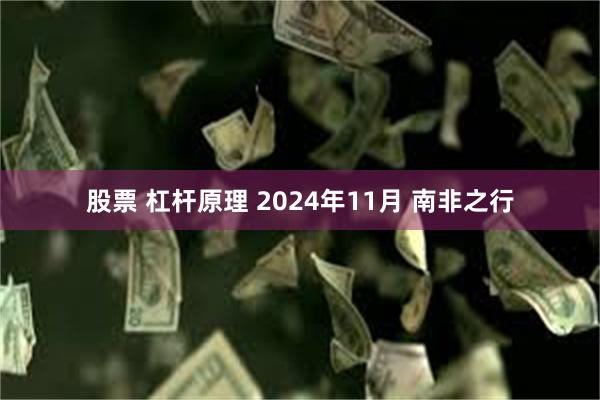 股票 杠杆原理 2024年11月 南非之行