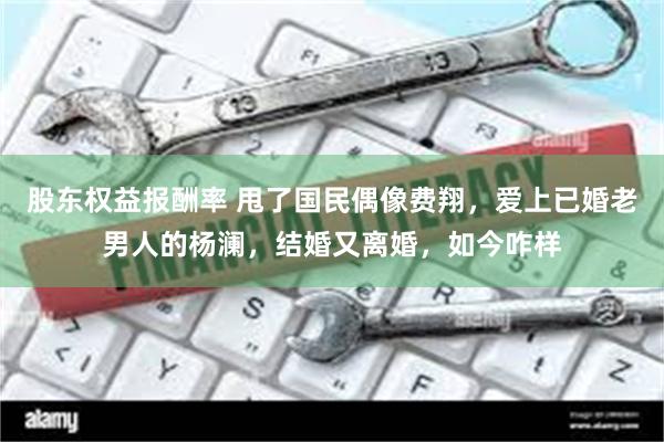 股东权益报酬率 甩了国民偶像费翔，爱上已婚老男人的杨澜，结婚又离婚，如今咋样