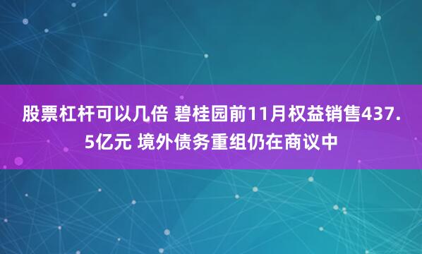 股票杠杆可以几倍 碧桂园前11月权益销售437.5亿元 境外债务重组仍在商议中