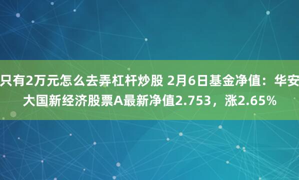 只有2万元怎么去弄杠杆炒股 2月6日基金净值：华安大国新经济股票A最新净值2.753，涨2.65%