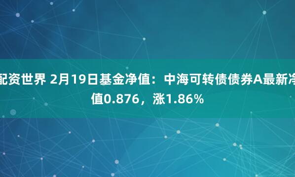 配资世界 2月19日基金净值：中海可转债债券A最新净值0.876，涨1.86%