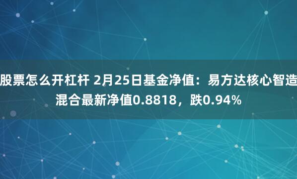 股票怎么开杠杆 2月25日基金净值：易方达核心智造混合最新净值0.8818，跌0.94%