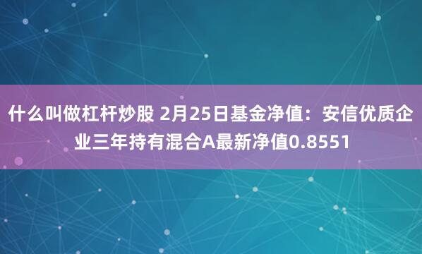 什么叫做杠杆炒股 2月25日基金净值：安信优质企业三年持有混合A最新净值0.8551